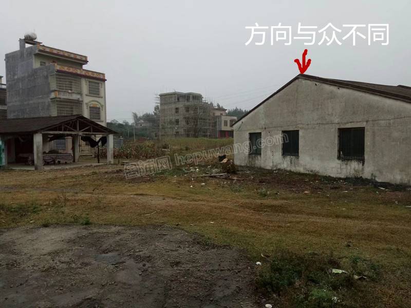 psb (2)_����.jpg