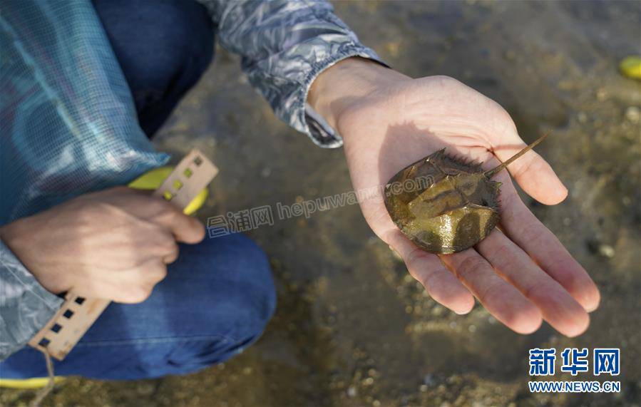 1124828652_15647088740121n (1).jpg