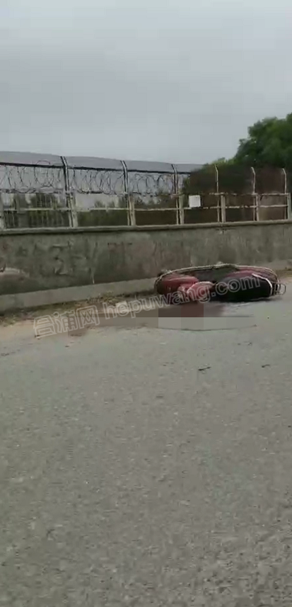 ͼƬ�������ṩ