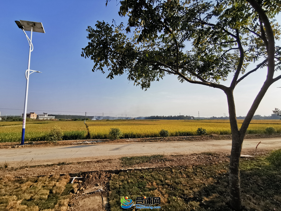 90c79b39843fdece90404dccba919a4 - ����.jpg