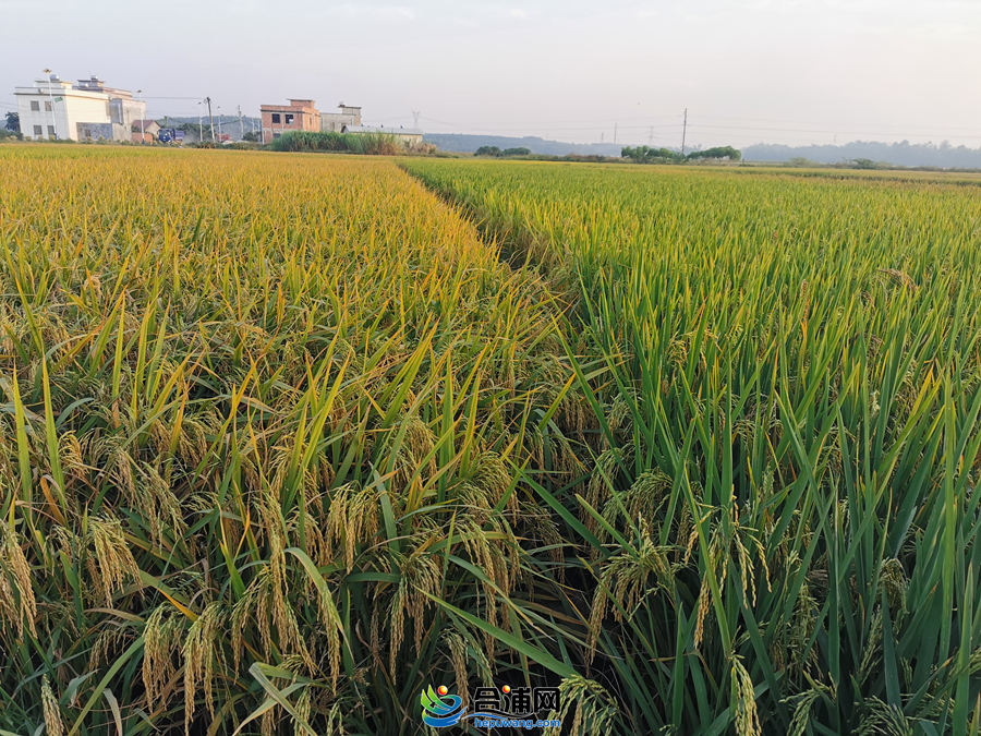 43c5b6e1880987e90904f16f551f7b2 - ����.jpg