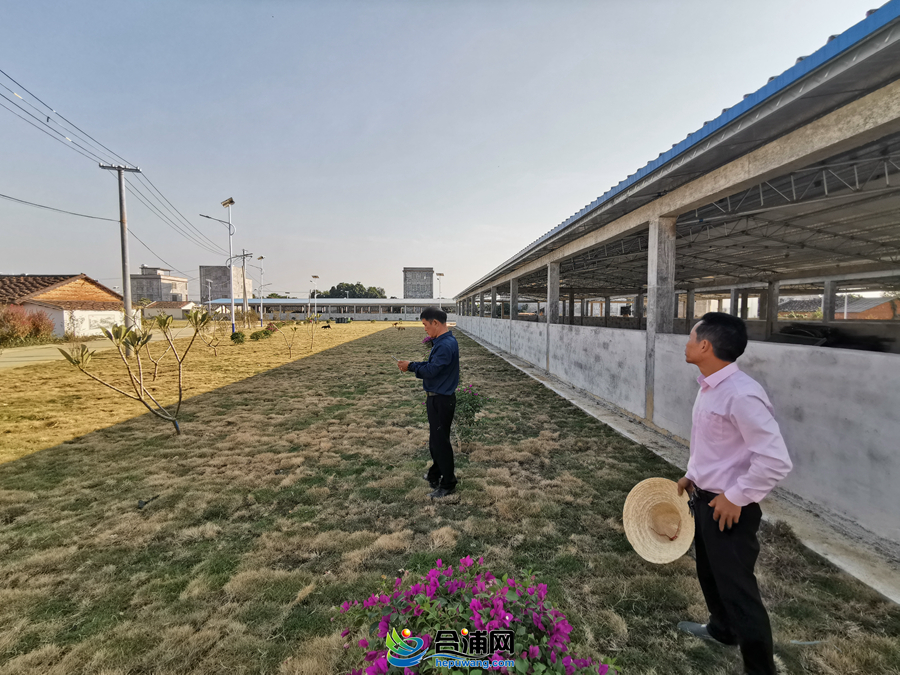 1c3b37835bf38bd2427858c6f317c74 - ����.jpg