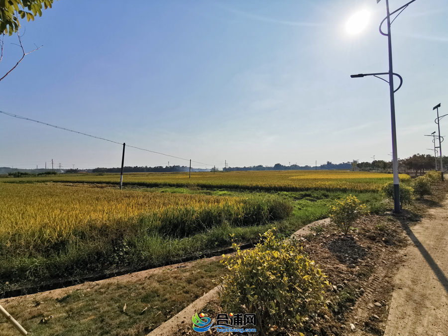 55ff3c8c04c7d5a306c3ee930f78e06 - ����.jpg