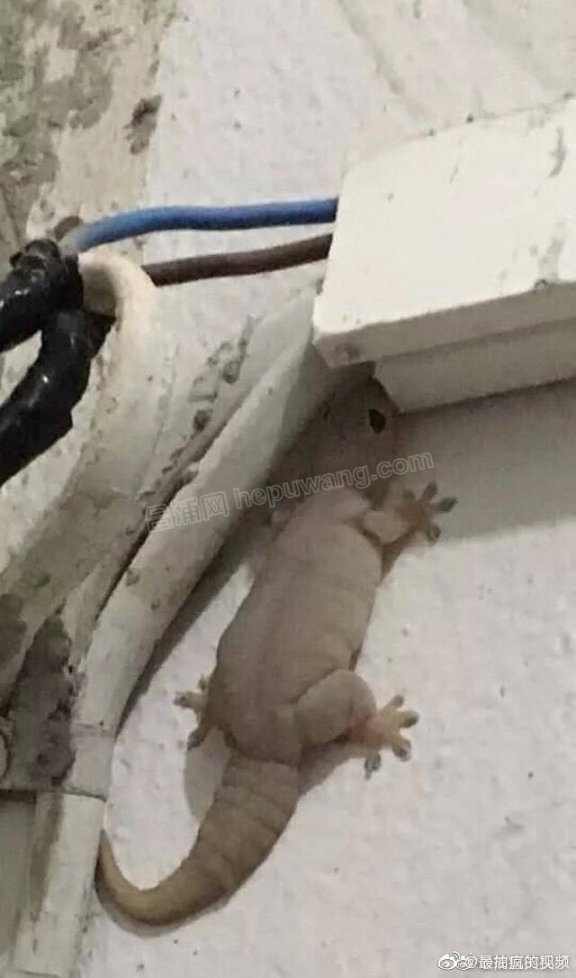 ΢��ͼƬ_20191125105523 - ����.jpg