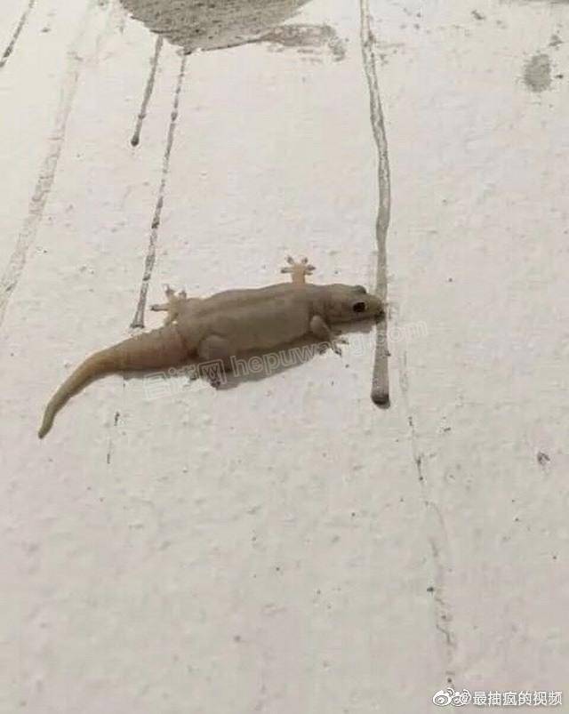 ΢��ͼƬ_20191125105532 - ����.jpg