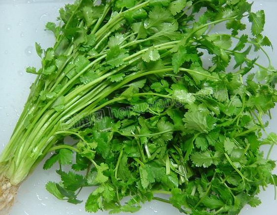 ΢��ͼƬ_20191126161307 - ����.png