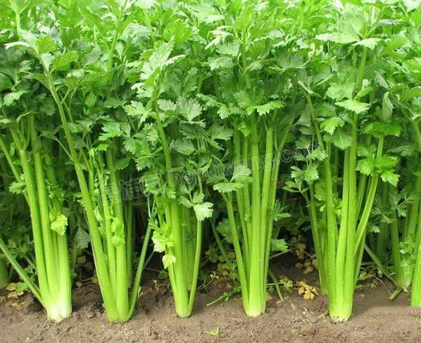 ΢��ͼƬ_20191126161313 - ����.png