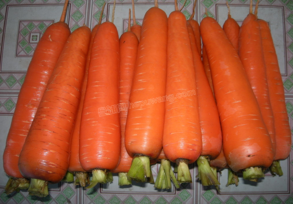 ΢��ͼƬ_20191126161316 - ����.png