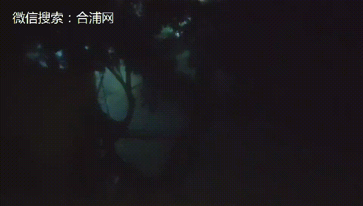 584640a38b45069cdfe7661e27a13443 (2).gif