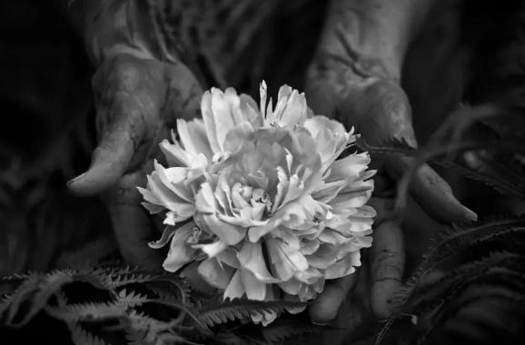 ΢��ͼƬ_20200329113505 - ����.jpg