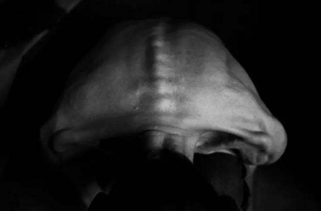 ΢��ͼƬ_20200329113459 - ����.jpg