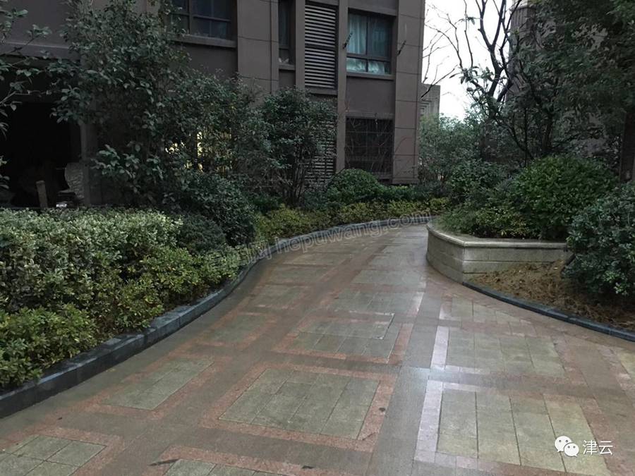 0000124 - ����.jpg