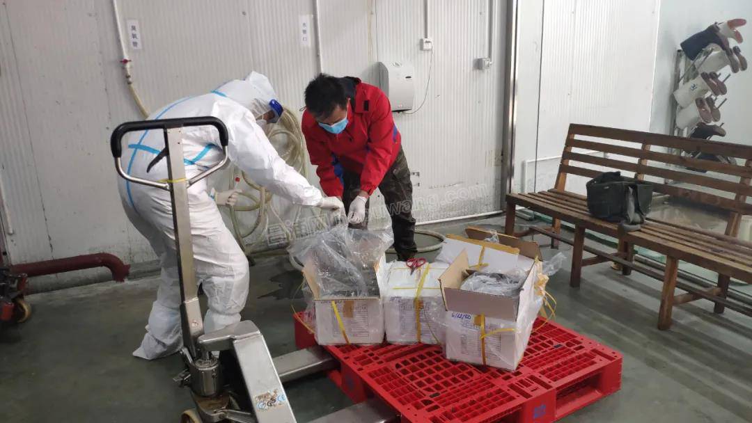 ΢��ͼƬ_20210114133647 - ����.jpg