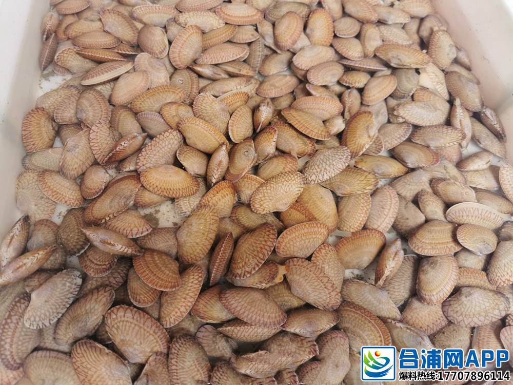 091550rx7f12xu24z111ss (1)_����.jpg