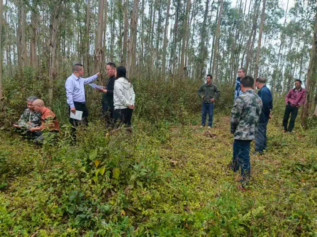 ����ǰ���ֵ�Ȩ�����⣬�����ڼҺ������������������������ͻ