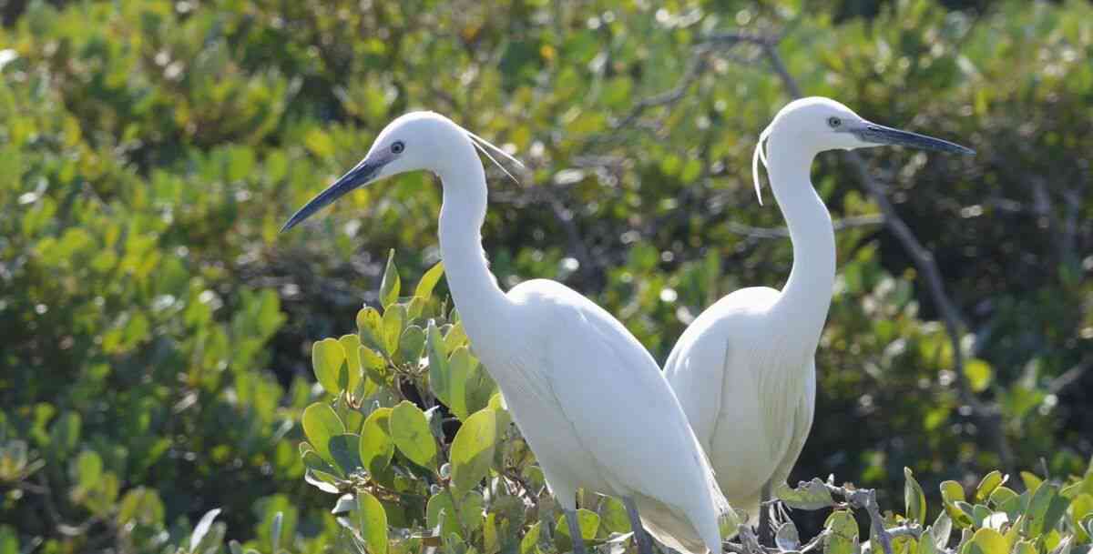 ����ɳ�������ǵ��Ͽճ�����ۣ��ܶ��˶��ĵ���...