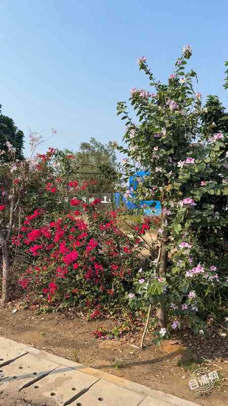 3��24�� (1)(3).jpg