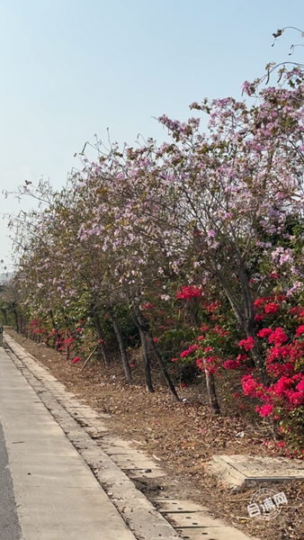 3��24�� (1)_����.jpg