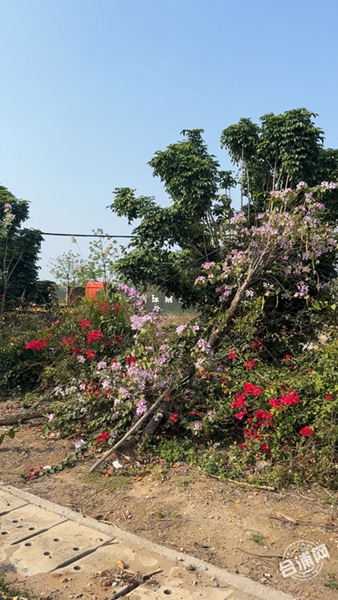 3��24�� (1)(1)_����.jpg