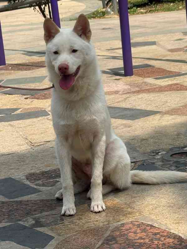 Ѱ����ʾ���������˿���������������