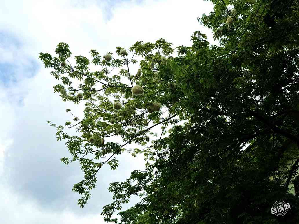 ΢��ͼƬ_20260516105215_213_162_����.jpg